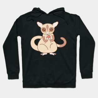 Tiny Sugar Glider Hoodie